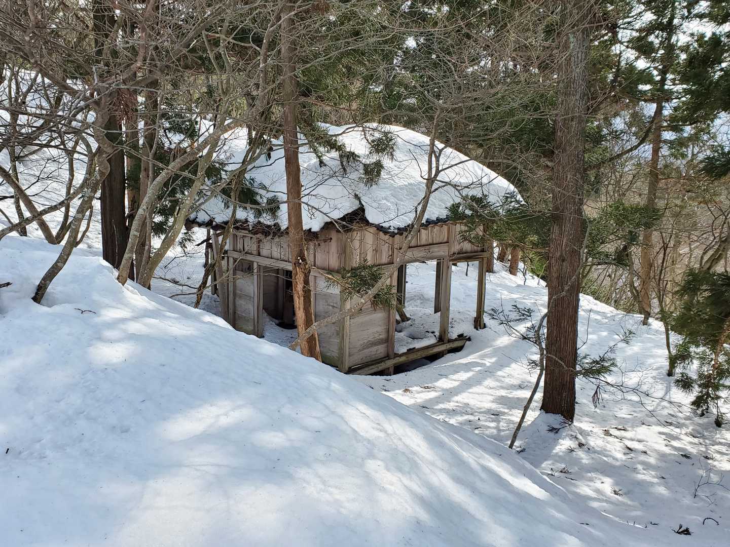 山頂の神社が見えた。朽ちかけている。