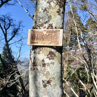 小野村割岳到着～✌️