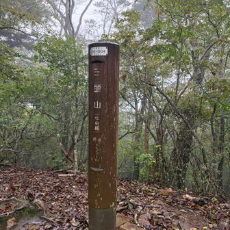 中央峰