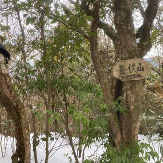 ⛰️釜伏山