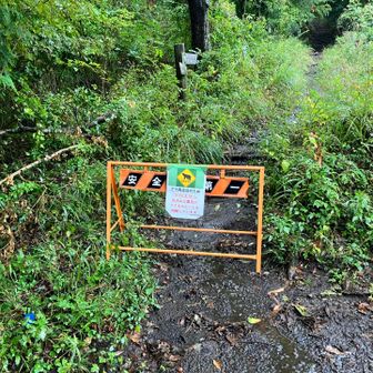 リサーチを怠りましたが、弘法山に上がるルート全てが昨日の10/24から通行止め。そこを迂回してすぐ下の舗装路を行きましたが、それでいいのか？笑、というところですね