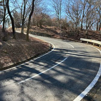 足柄峠付近まで来ると、道路に接続します。