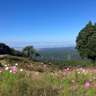 リフトで山頂へ。

歩いて上がる人もいました。