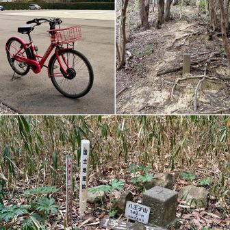 枝道の末端/ヘリポートより149mP△八王子山へ