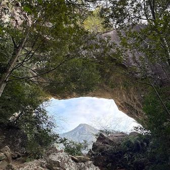 明神山どーーーん
スコティッシュにゃーー

猫はどこにゃーーー