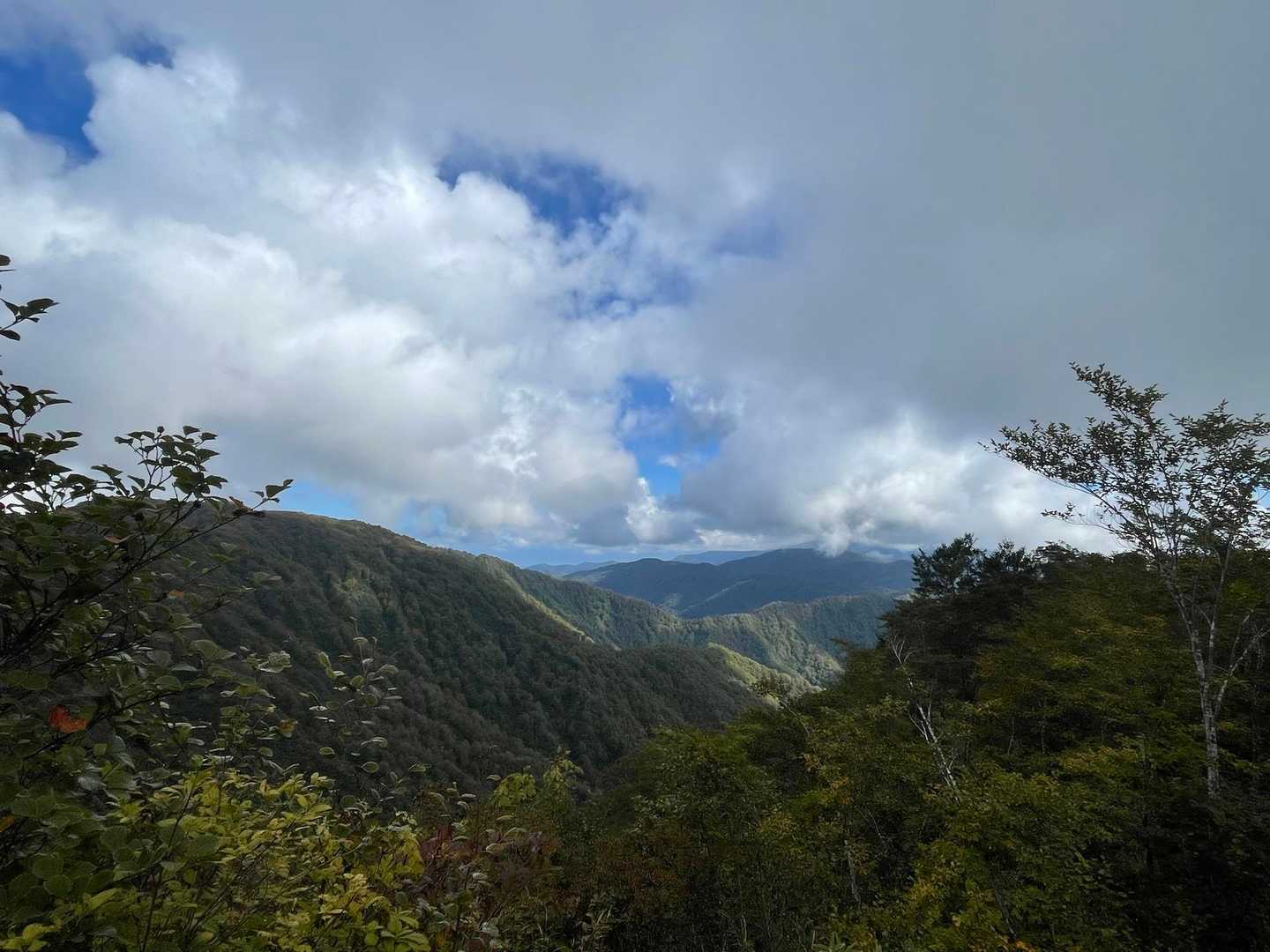 曇ってきた