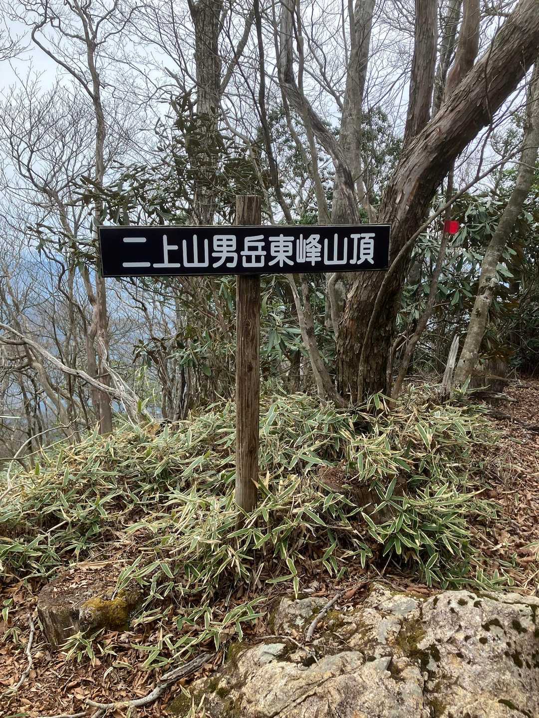 雄岳東峰到着🙌
こちらではアケボノさんに出会えず、次は休憩がてら浄専寺の桜を拝みに行きます🌸
下りは浄専寺の横へ抜ける道を使いましたが、登りの心労とは裏腹に快適ロードでした😅