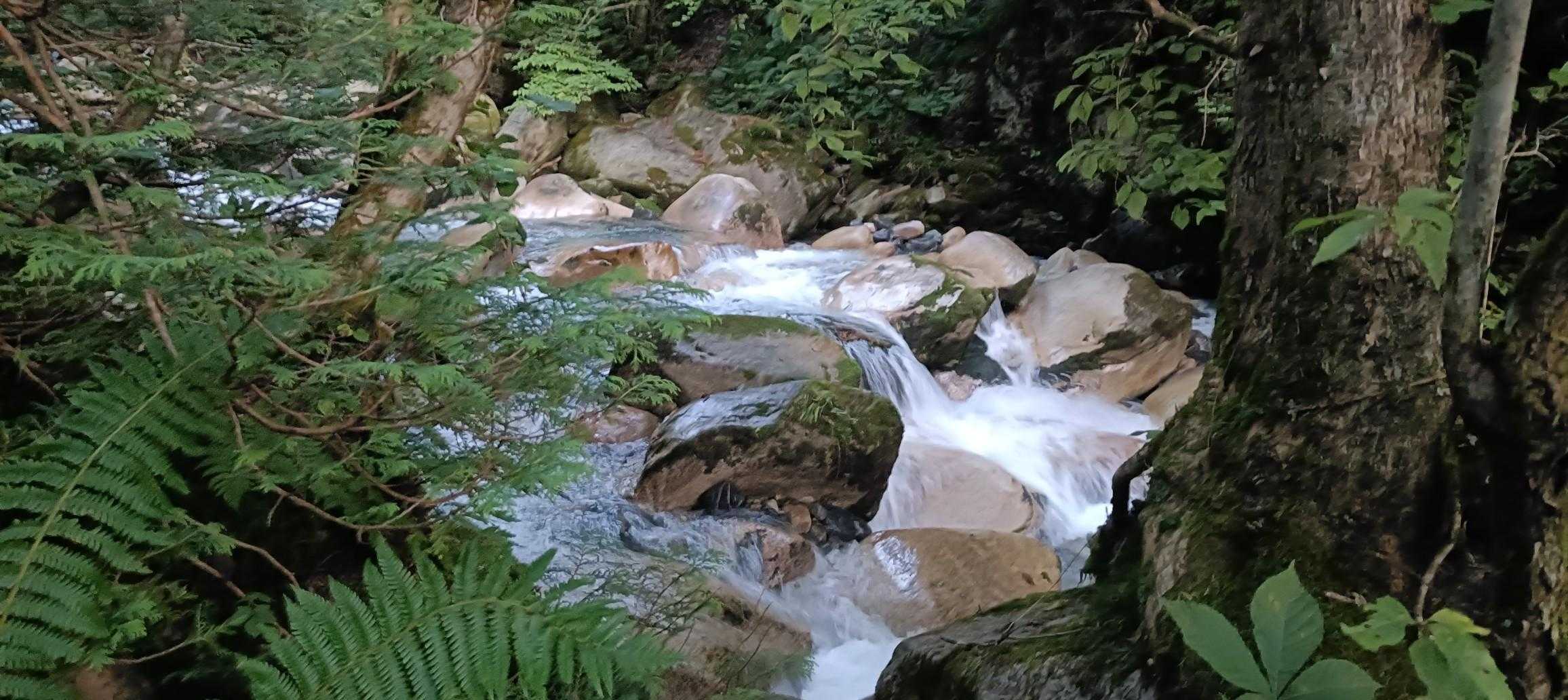 吊橋したの川　水がとっても綺麗です