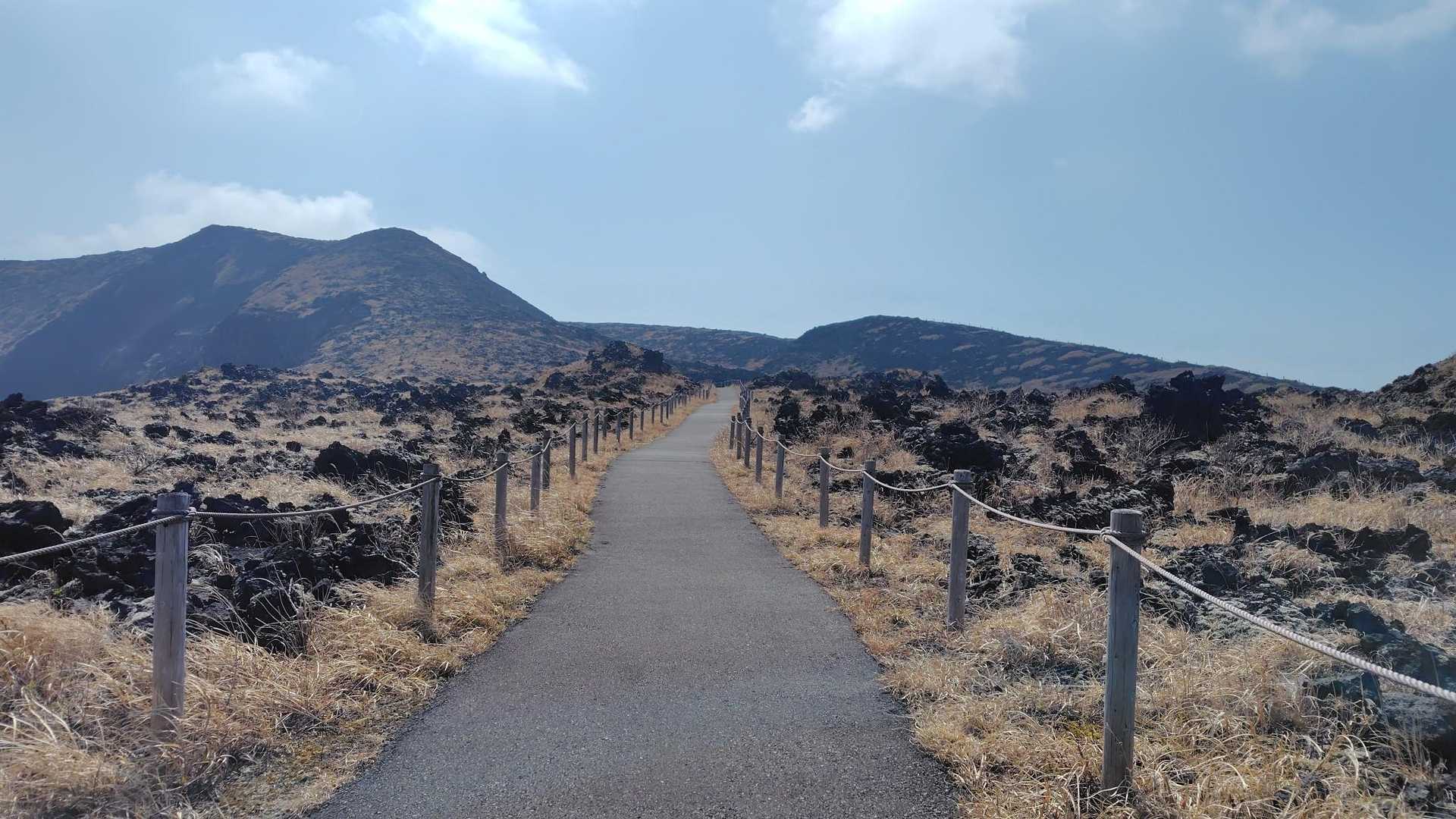 三原山頂口バス停発着｜三原山お鉢巡りコースの写真