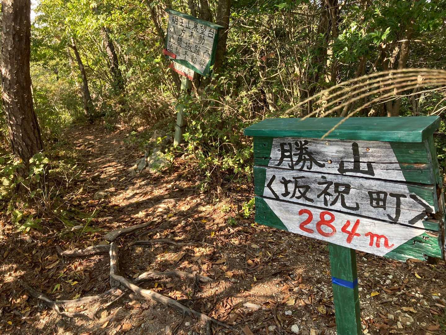 勝山 山頂に到着🙌
そういえば眺望なかったね、思い出したわ
