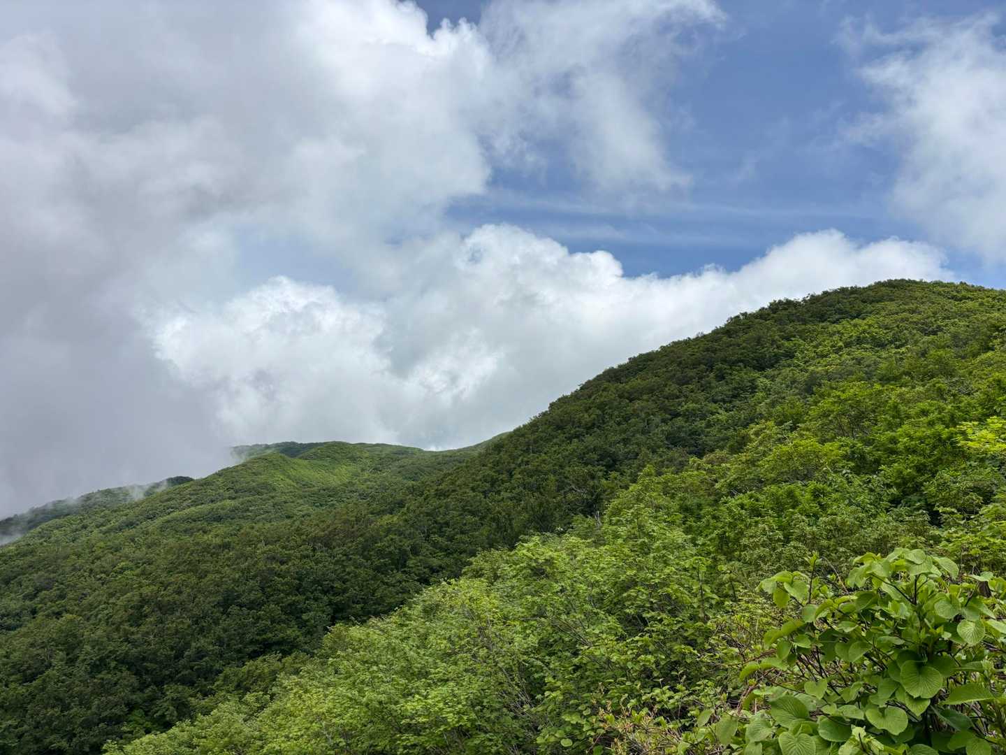 七合目をすぎて、やっと頂上がみえてきました。