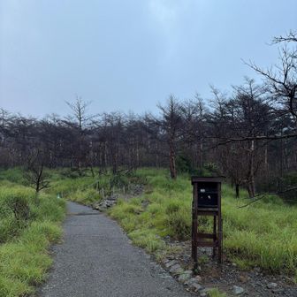 ガスにより山の稜線すら見えず