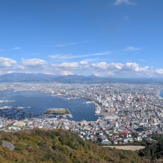 展望台より一望