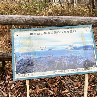 ここでコーヒータイム☕️
今日はフィナンシェとクッキー🍪
(コーヒーとお菓子 KYOTO KEIZO)