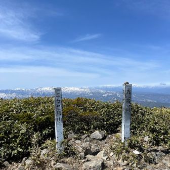 巻機山のピークより前巻機山のほうが分かりやすい🤔