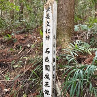 さて…下山目前

登山口から2分の所に…
閻魔大王が鎮座してまして…