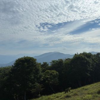 八経ヶ岳