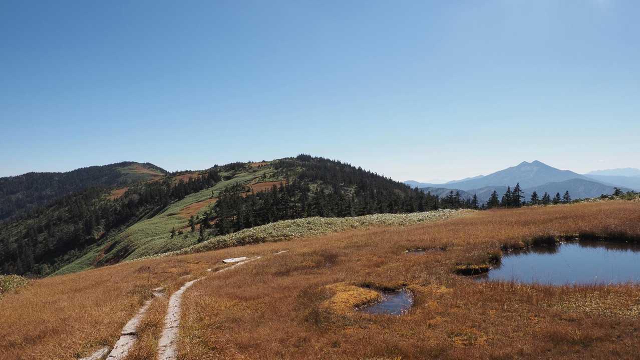 会津駒ヶ岳・中門岳、草紅葉広がる稜線へ の写真 18