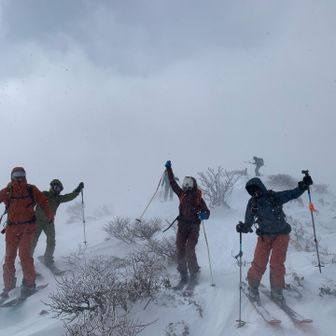 風の強さがよくわかります