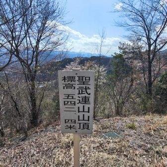 聖武連山（しょむれやま）に到着