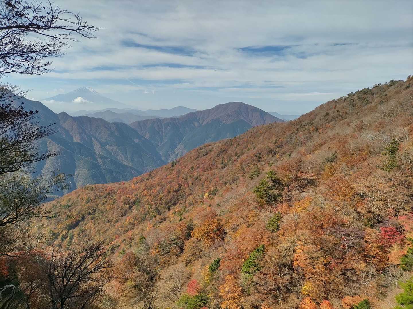 釜立林道（青根）-姫次-蛭ヶ岳 往復コースの写真