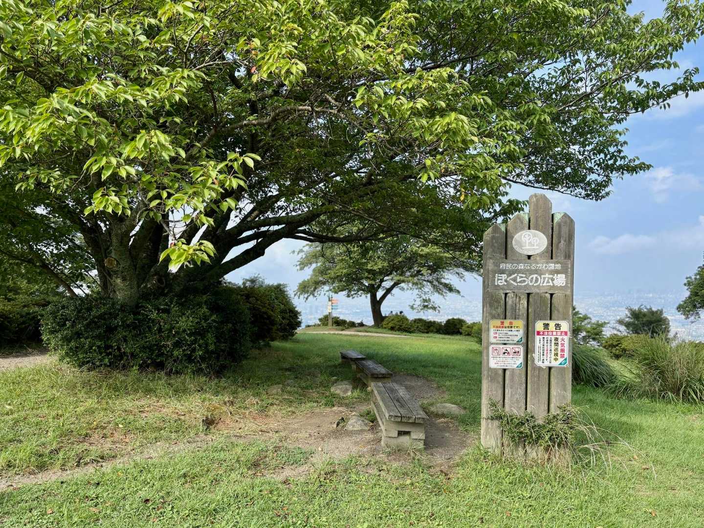 汗だくのまま「ぼくらの広場」に到着😵‍💫💦
途中、虻に刺されるわ、コバエが耳元で飛びまくるわでストレスMAX😫
うちわ忘れたことに後悔…っていうか、BUFFのINSECT SHIELD（虫除けネックチューブ）って効果ある？？