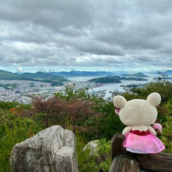 矢野方面を眺めながら黄昏るローズマリーちゃん…🌺

ローズマリーティーは集中力・血行促進・アンチエイジングの効果が期待出来るよ…🍵