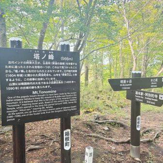 地獄の下りがここから始まります
