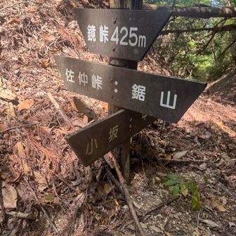 鏡峠到着しました　登り返さずに小坂方面へ