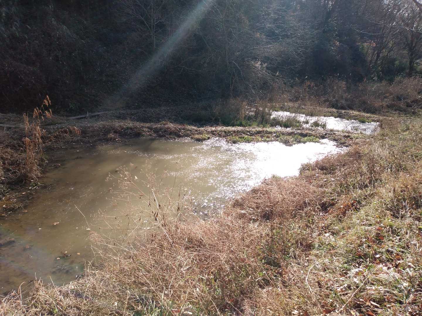 氷が張っている。