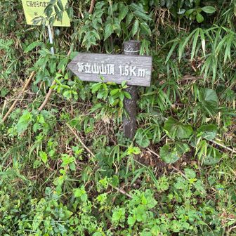 ここから登る^ ^

最初　道間違えて行き止まりになって　戻った😅
前回も　間違えたんだよね〜