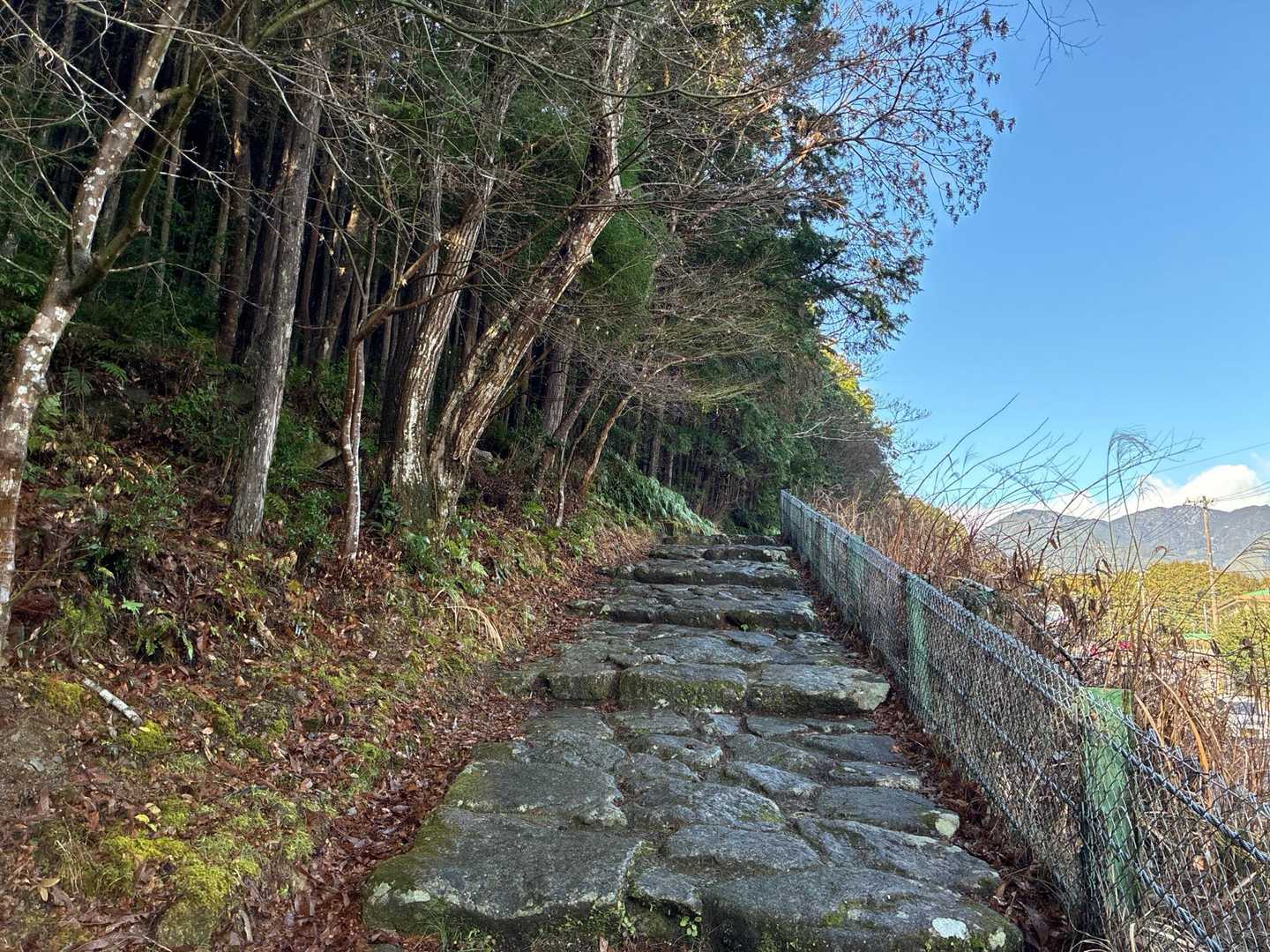 気持ち良く登れました