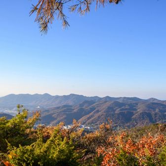 山々もうっすらと色付いてとても綺麗ですね。

とても良い景色です📷