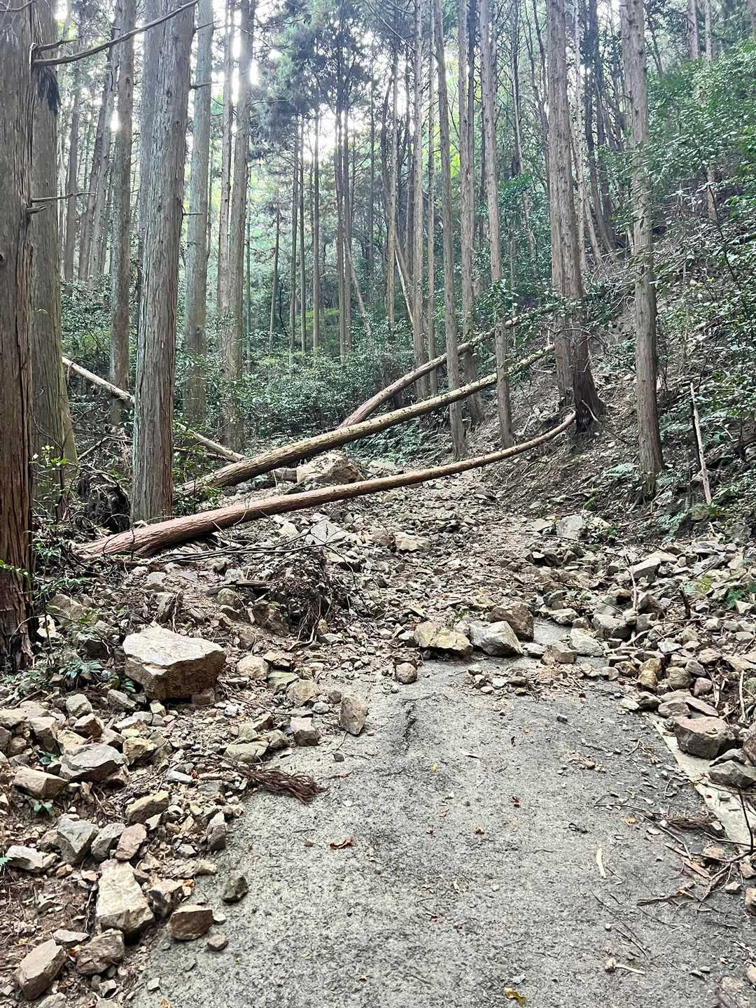倒木あり。