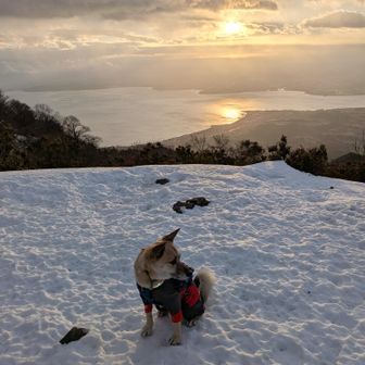 権現山まで戻って来たよ。