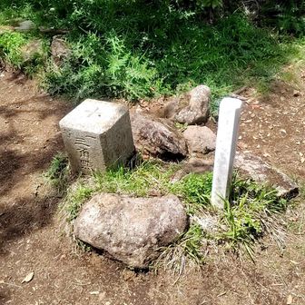 大きな一等三角点