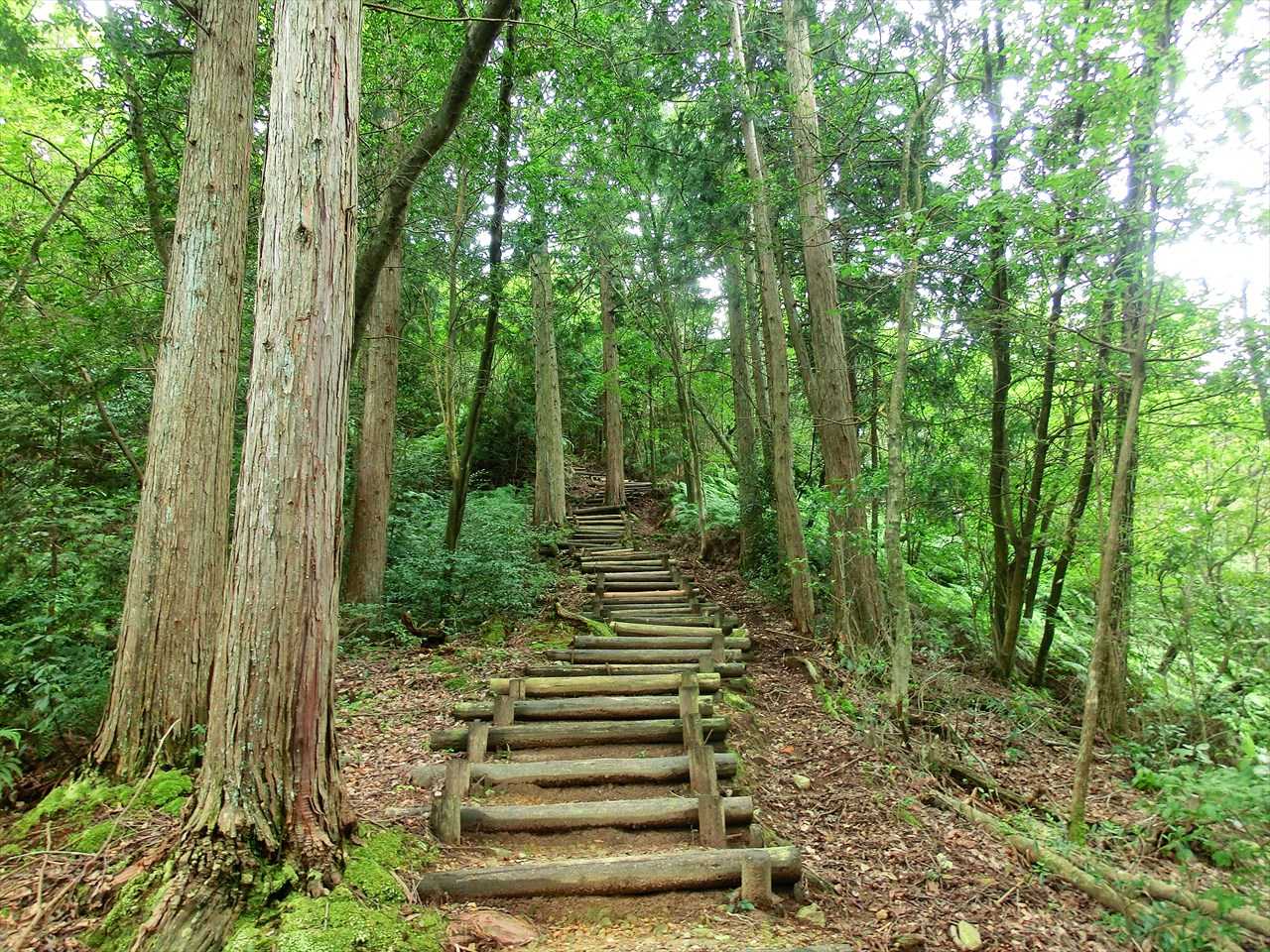 雨山 周回コースの写真