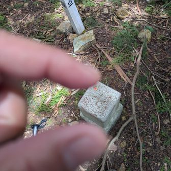 写真を撮る気力もなく😅
やっとの思いで到着