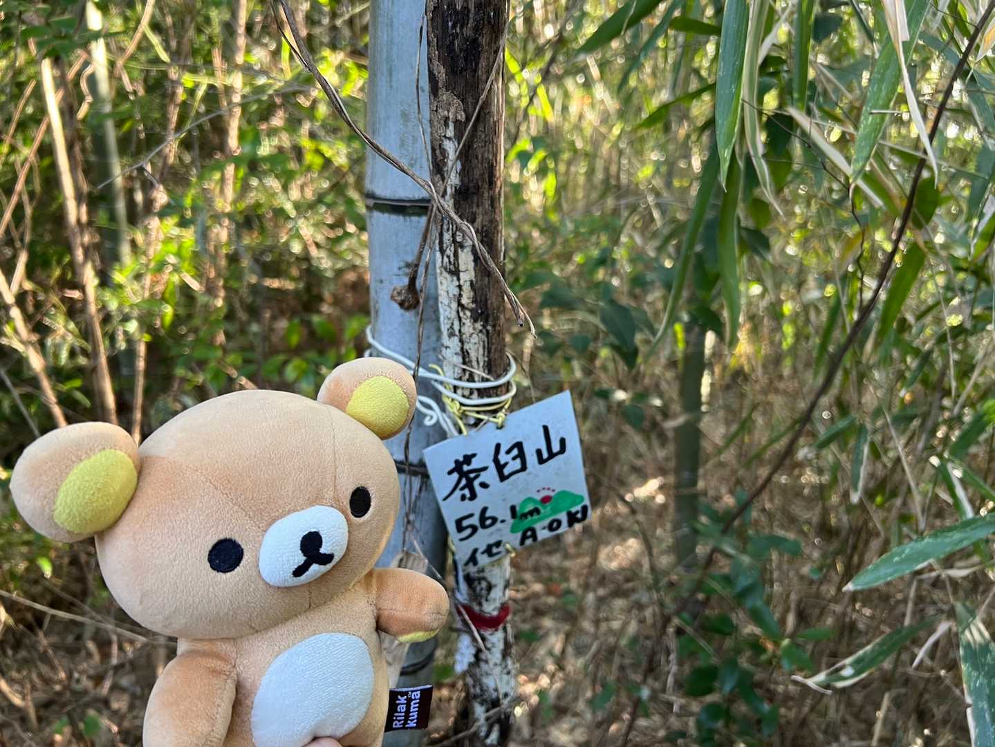 安定のイセAOKIさんと、