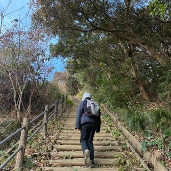 久しぶりの階段に、身体が。。