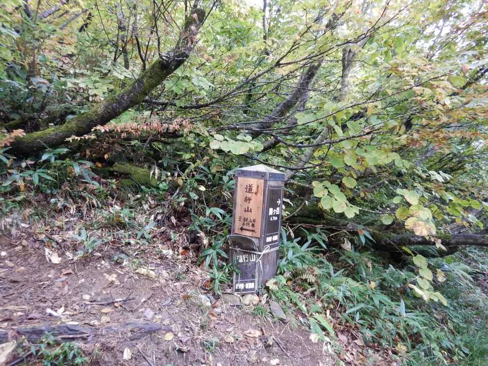 道行山の写真