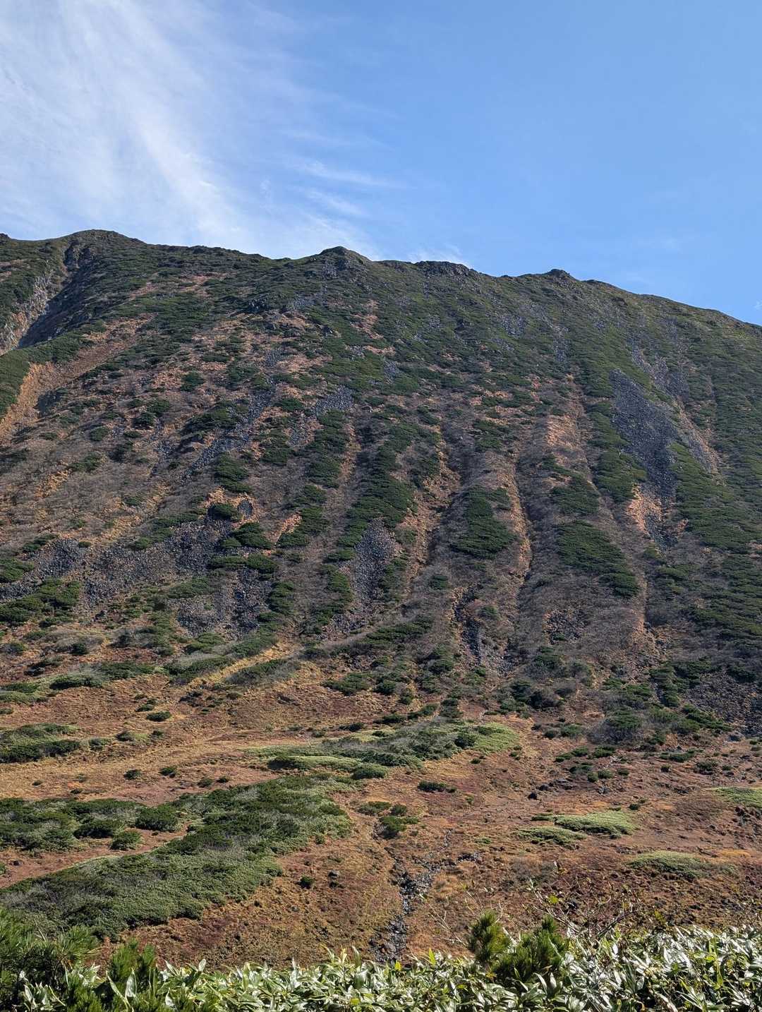 "日本百名山最難関"とも言われる幌尻岳の沢沿いコースの写真