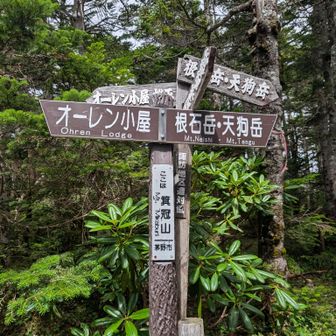 箕冠山に到着⛰️