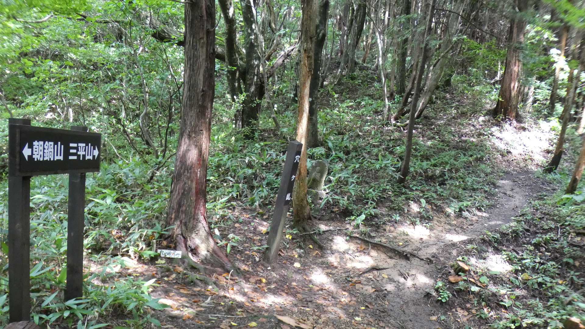 穴ヶ乢から林道へ抜けて楽して戻るプランも考えていたけれど、
苦労してもう一度三平山山頂で風を浴びに行こう。