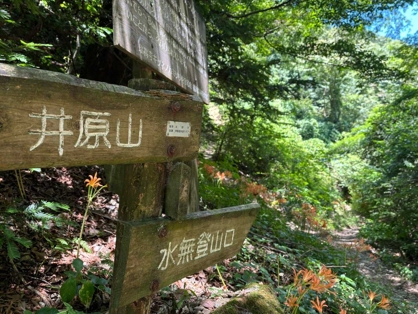 井原好きだなぁ