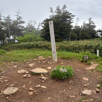 苗場山の山頂