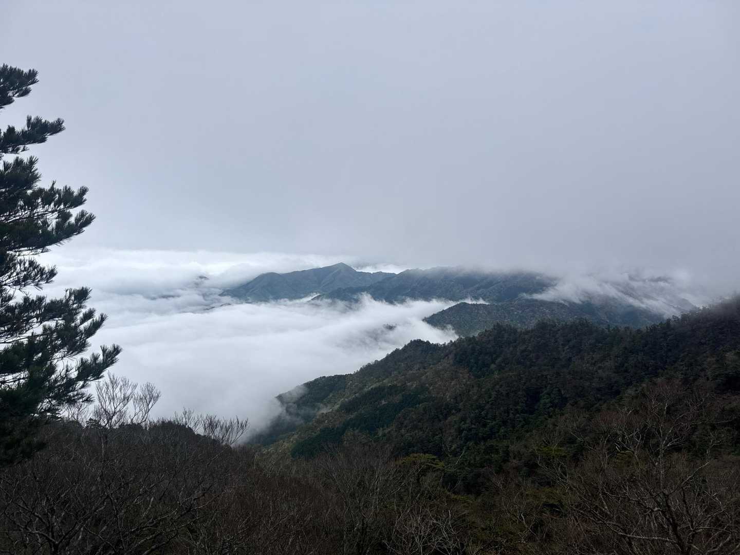 傾山 往復コースの写真