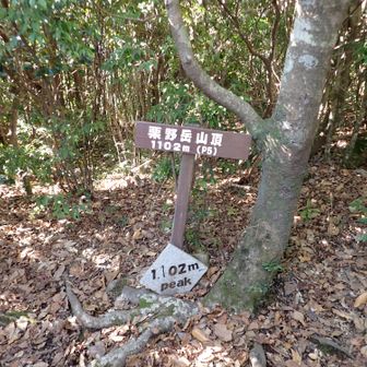 山頂は展望なし