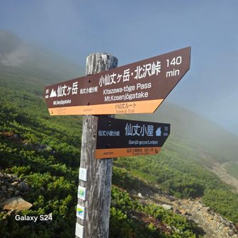 小仙丈ヶ岳に向かいます
左側に進むと(進行方向)、仙丈小屋まで10分とのご案内😁…次回の参考になりますね～もうすでに次に来ることを考えている🤔…😅
