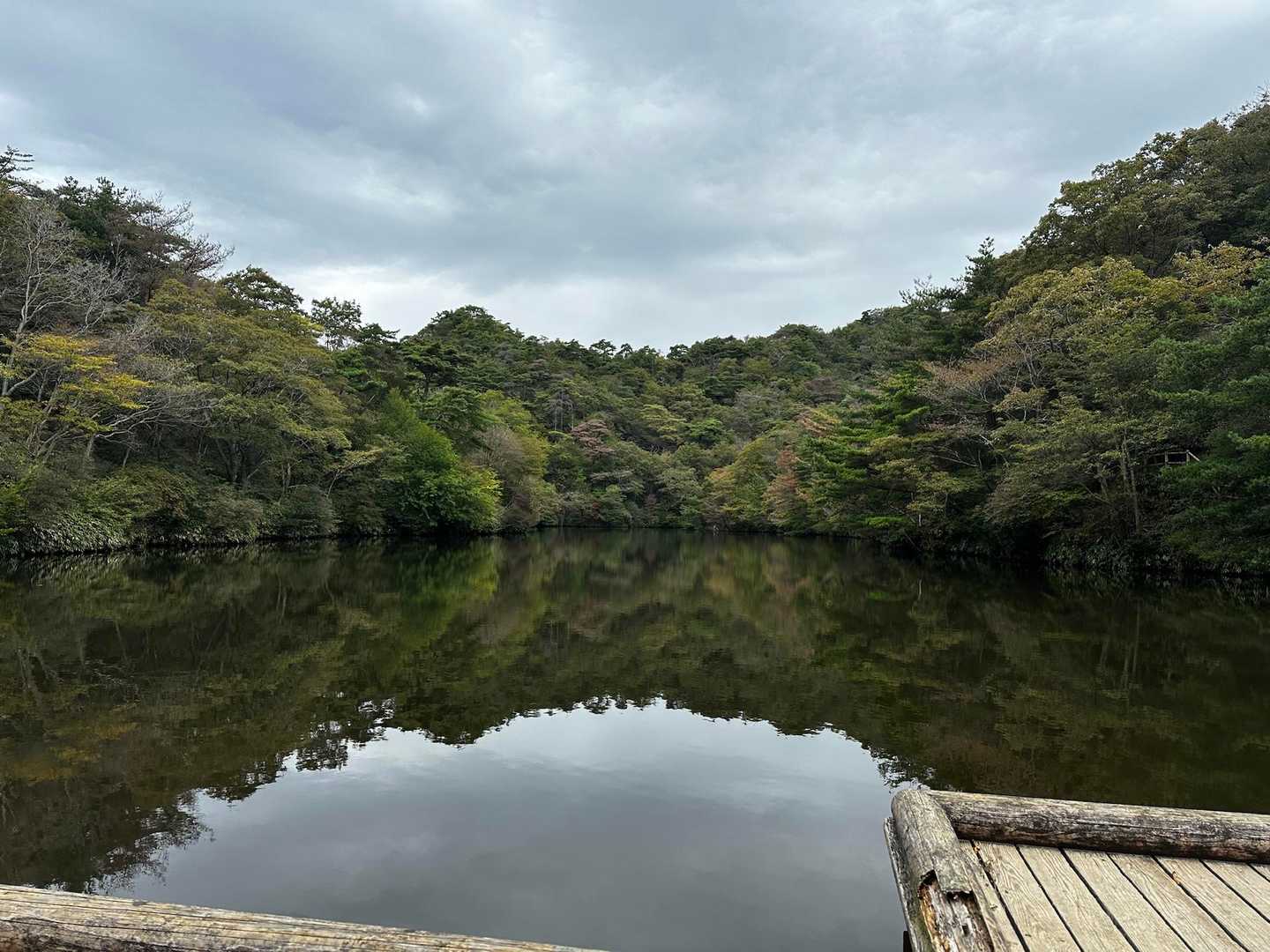 正門-西門-分水領越-杣谷峠-石楠花山-東門-料金所 周回コースの写真